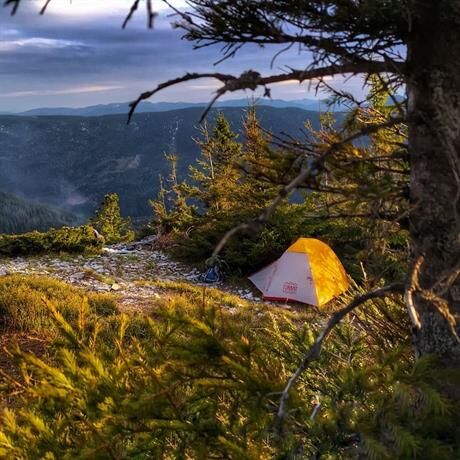 Turbat Borzhava 2 İki Kişilik Çadır - Dw, Sarı