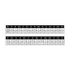 Lowa ALPİN EXPERT II Gore-Tex Kadın Dağcılık Botu EUR-38